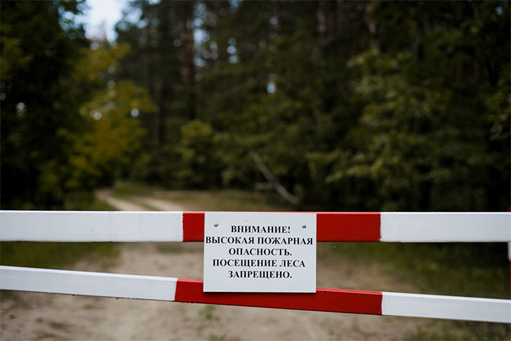 В Кобринском районе с 25 августа введен запрет на посещение лесов