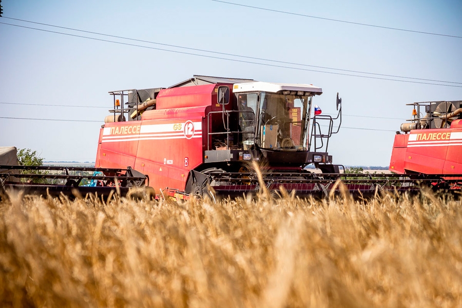 Аграрии Беларуси собрали более 4,2 млн. тонн зерна с учетом рапса