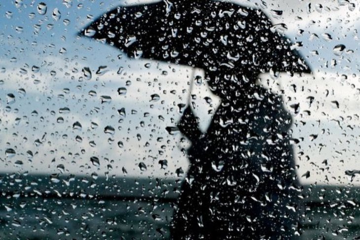 Тепло и дождливо — погода в Кобрине на выходных